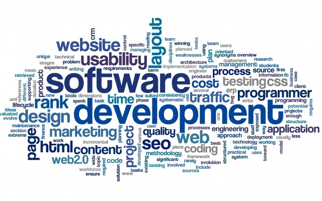 Software development concept in tag cloud on white background